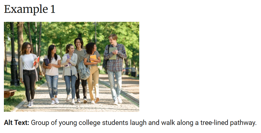 Example image showig alt text placement